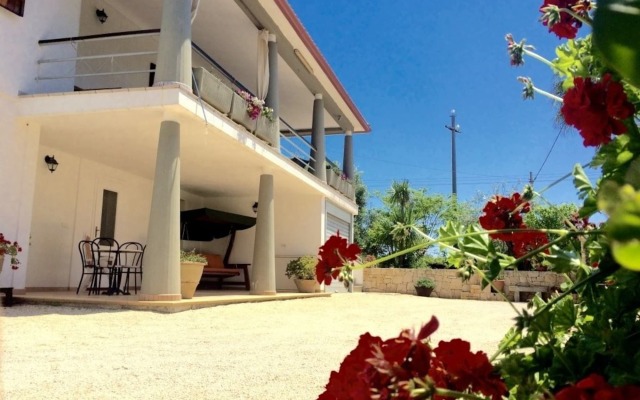 B&B All'Ombra degli Ulivi