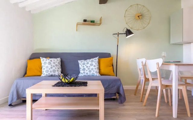 Apt terrasse centre historique