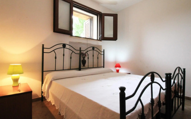 Pino Amazing Seaview