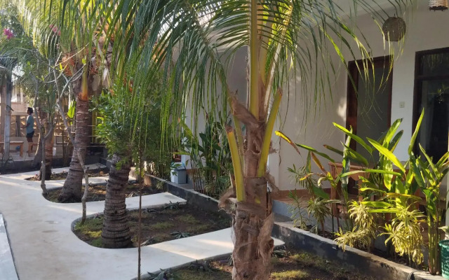 Palm Trees Villas