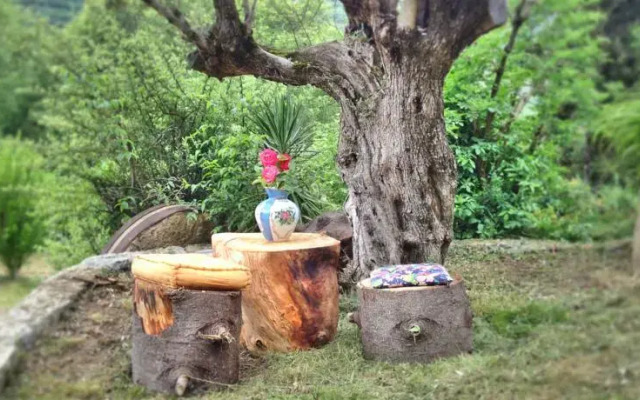 Holiday Home Borda del Vinyer