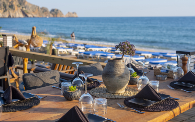 Royalisa Palmiye Beach +16 Adult Only