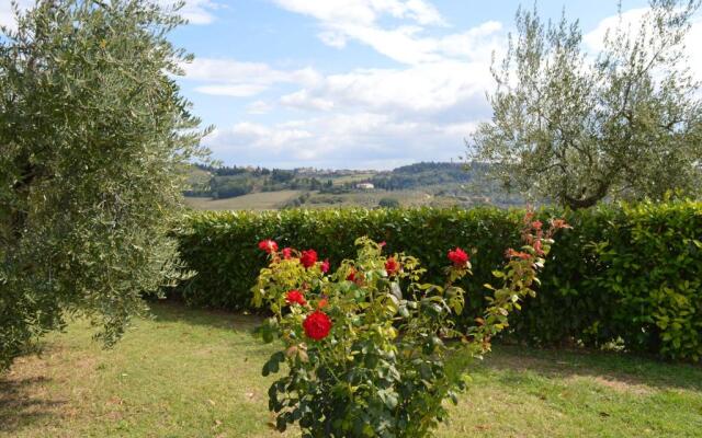 Oliveta