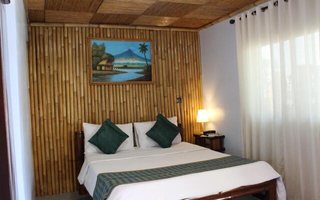 P and M Final Option Hotel