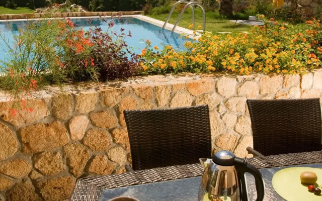 Beautiful Villa With Swimming Pool