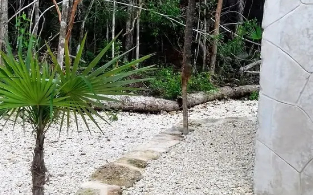 Tooj Cheel Lodge Tulum