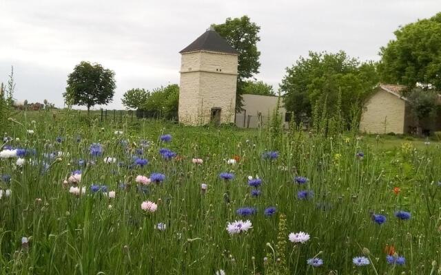 Château Pierre de Montignac