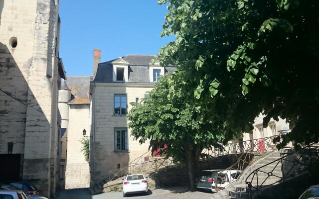 Nature & Chateaux à Chinon