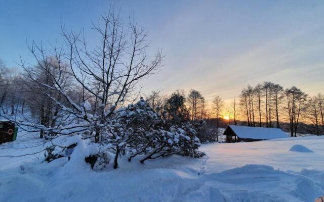 Sunny Beaver B&B