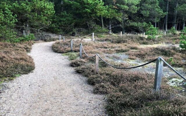 "Marissa" - 3.8km from the sea in Western Jutland