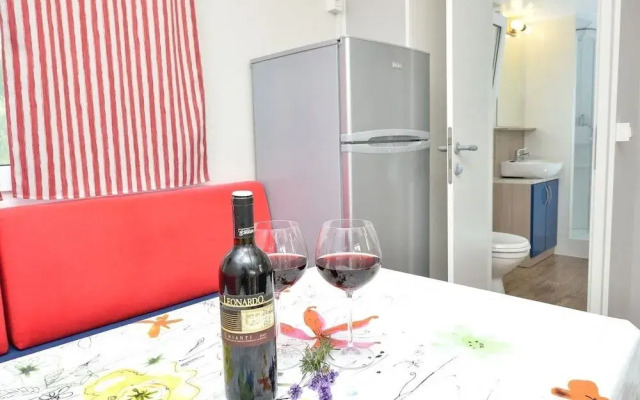 Iva - Great Garden - H