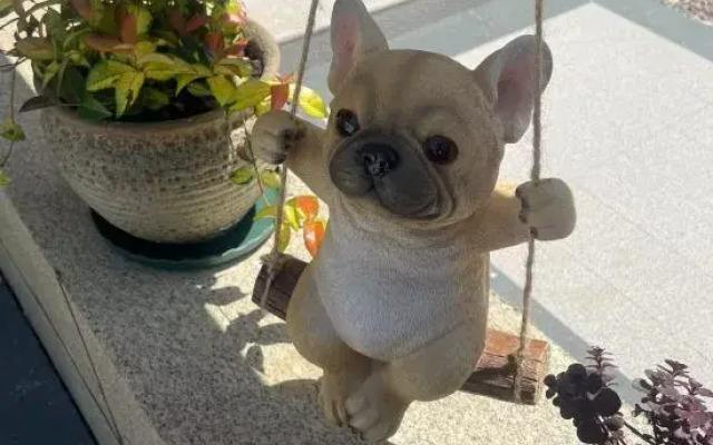 Sangu Maolu Homestay