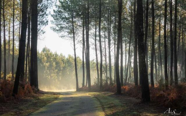 Les Bord'Océanes Sauna & Spa **** Villa Marensine et Villa Oyat