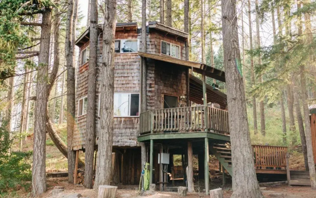 Tree House Tranquil-A-Tree