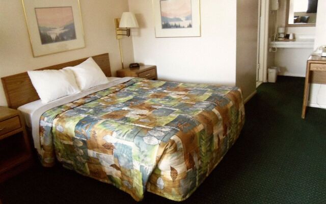 Apollo Motor Inn