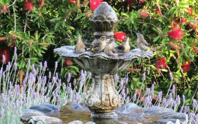 Von Abercron Residence