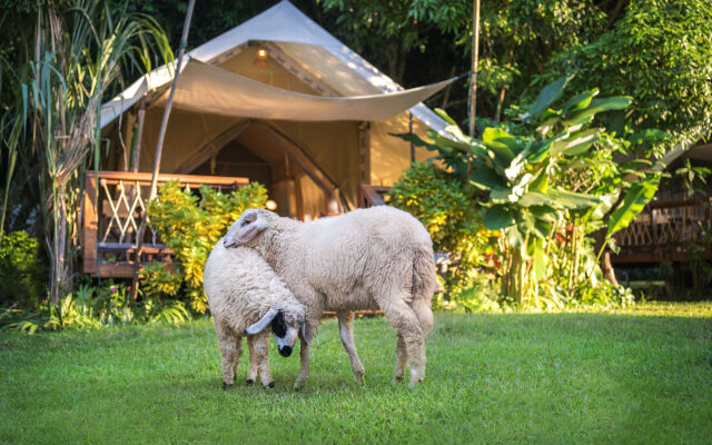 Hintok River Camp at Hellfire Pass