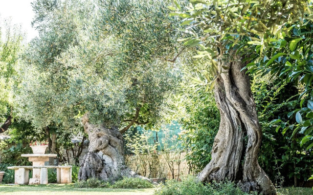 Astra Bed  Breakfast