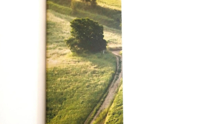 Sobieski Stefansdom Apartments