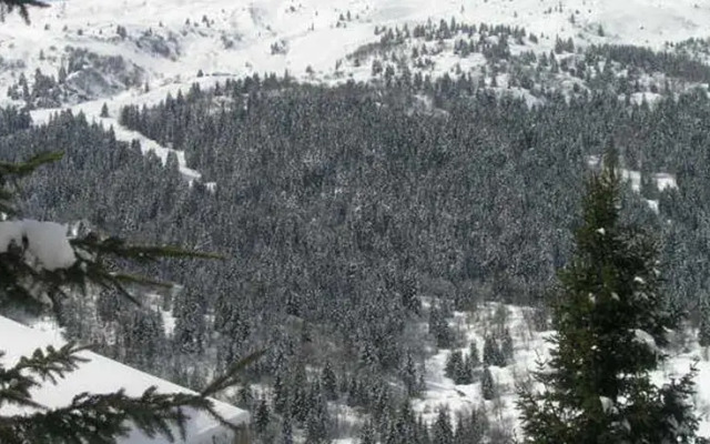 Chalet Manekineko