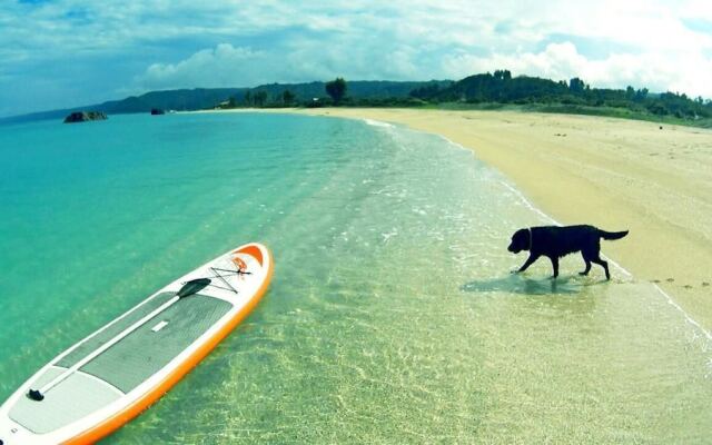 Okinawan. Sweet Home.T-8