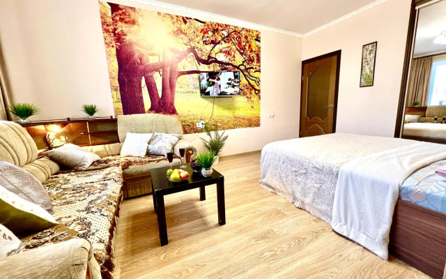 Самарские апартаменты на улице Санфировой