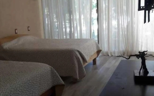 Iguana Rana Cabins Bacalar