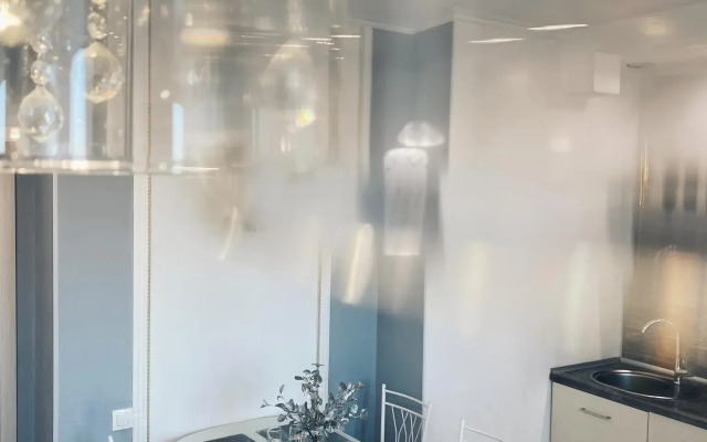 CrystalRentals on Nikolay Zelinsky Street