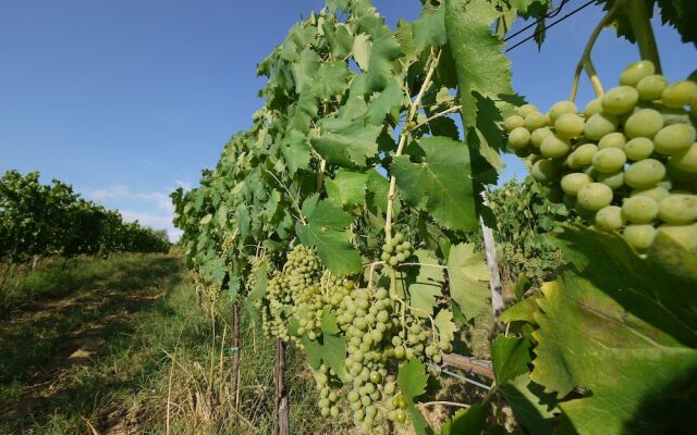 Agriturismo la Prodaia