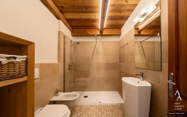 Alp Apartments - Tourneuve5