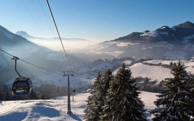 Charmant et lumineux appartement Duplex à Charmey