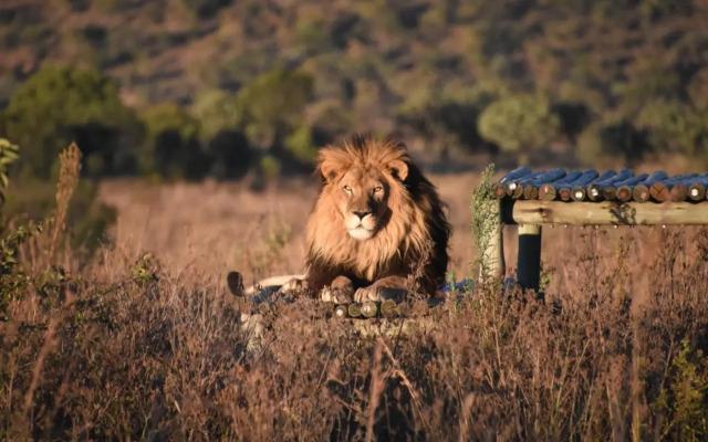 Shakama Private Game Lodge & Spa