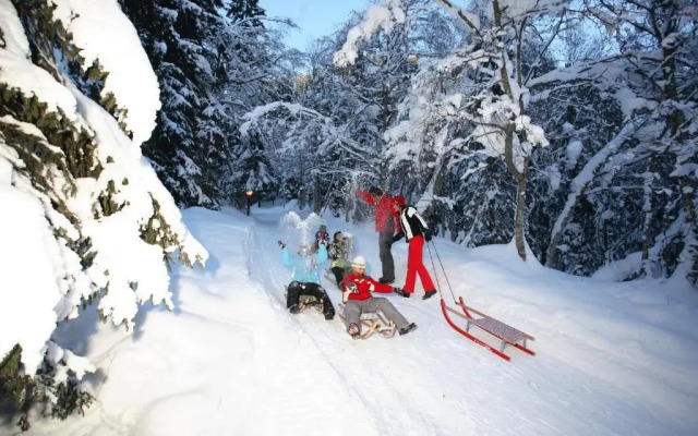 Panoramahotel Burgeck