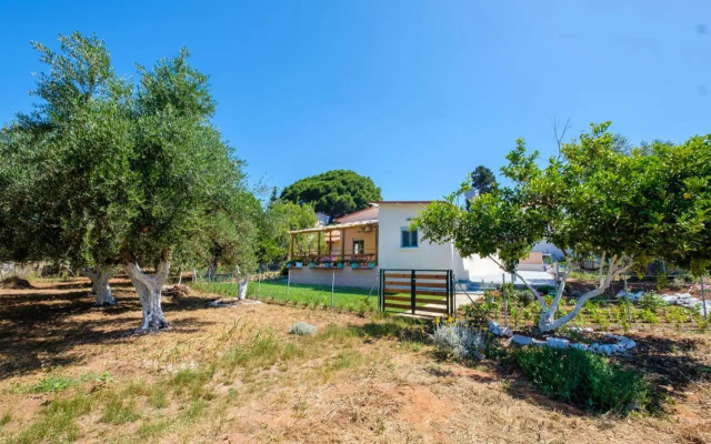 Rikia Seaside House