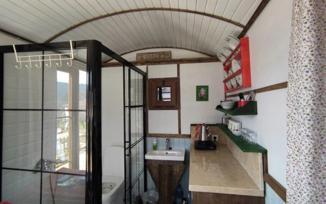 Torrhebia Dag Evi