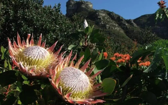 The Paragon Urbane CENTRALLY LOCATED, MODERN COMFORTS