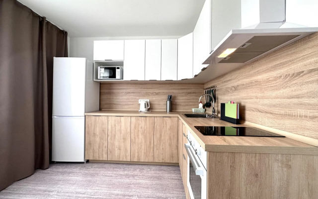 Monaco Apartments 24 on Pustoshkina 14 (41)