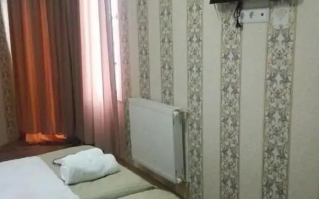 Hotel Petre Palace