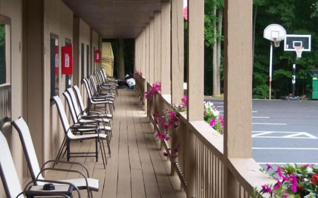 Tall Pines Motel