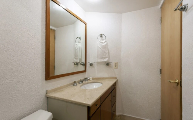 Beautiful apartment Ahuehuetes