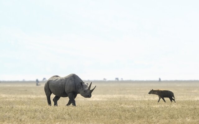 Ngorongoro Serena Safari Lodge