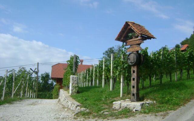 Vineyard cottage Med vinogradi