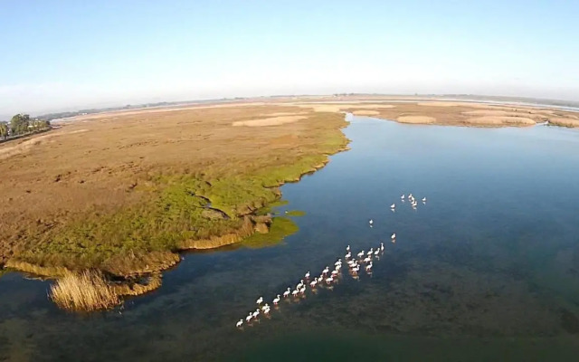 Sunbird-Admiral Island Holiday House
