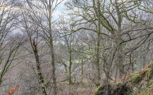 Galena