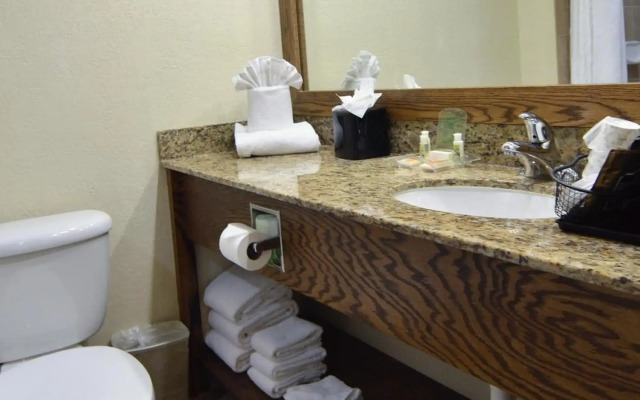 Holiday Inn Fort Myers - Downtown Area by IHG
