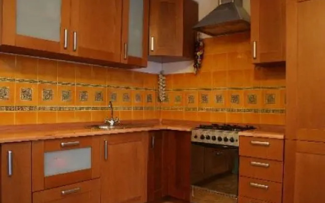 Elephant On The Moon