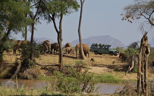 Elephant Bedroom Camp