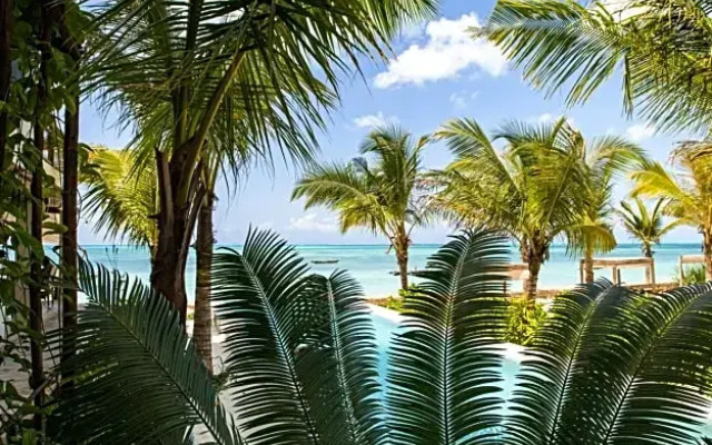 Passion Boutique Hotel Zanzibar - Adults Only