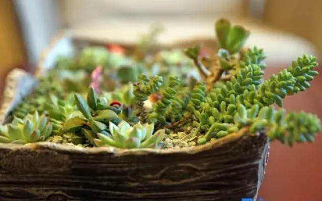 Qinshuiwan Holiday Hotel (Ninghai Wujia Manor)