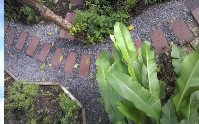 Pathuma Garden and Resort